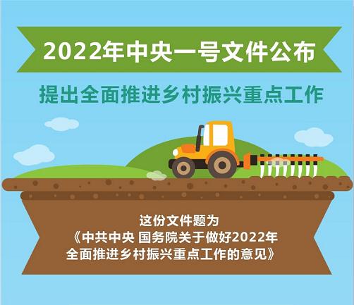 2022年中央一号文件公布 提出全面推进乡村振兴重点工作