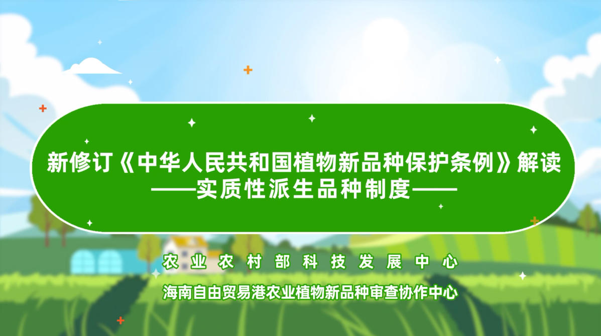 新修订《中华人民共和国植物新品种保护条例》解读——实质性派生品种制度