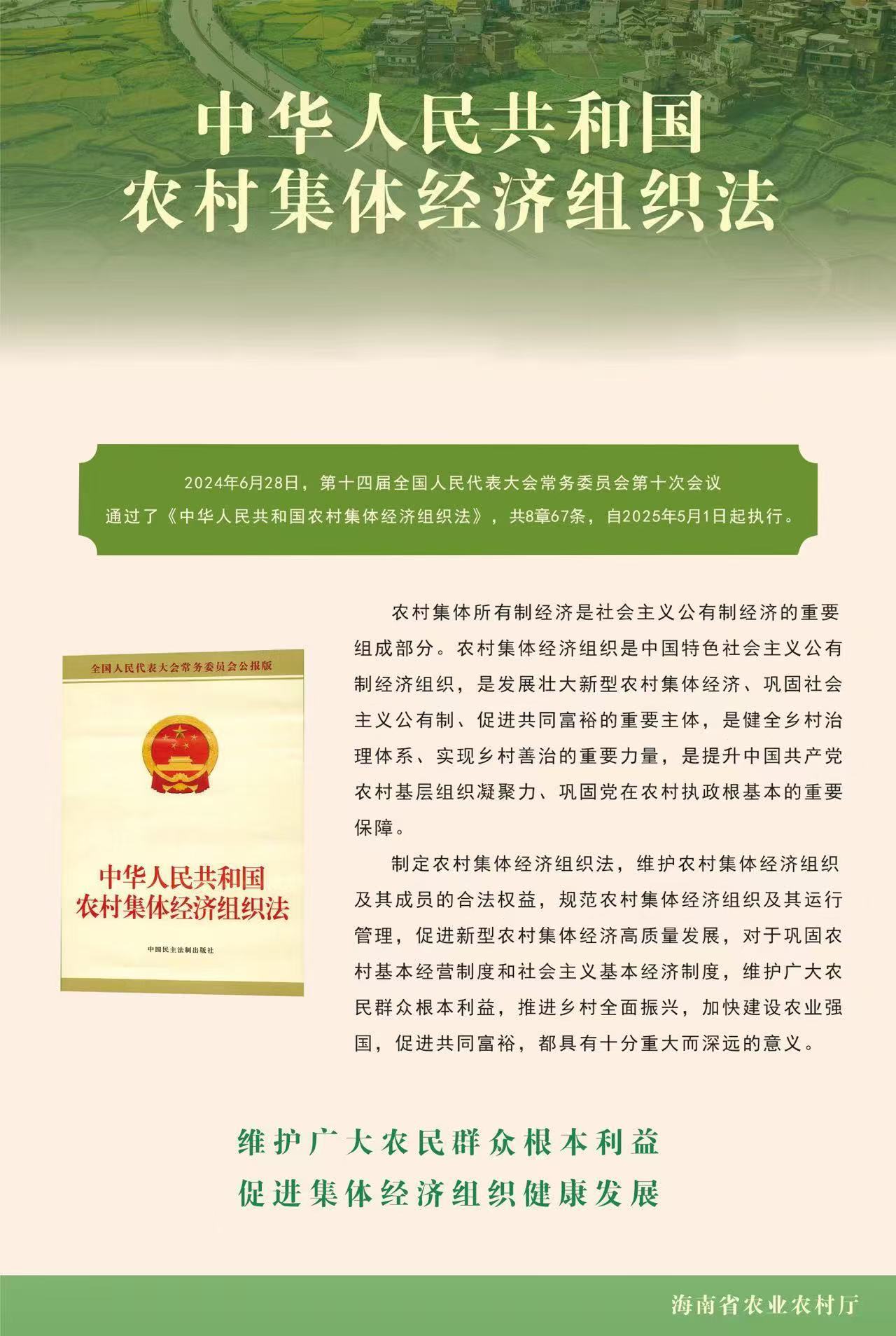 一图读懂《中华人民共和国农村集体经济组织法》