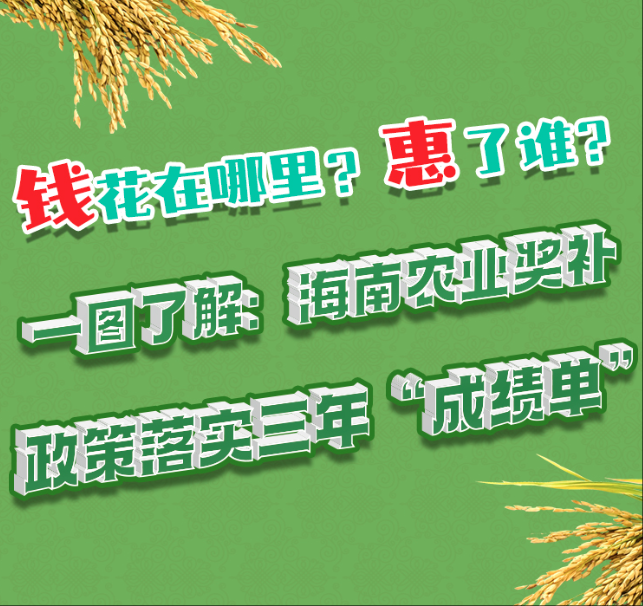 一图读懂：海南农业奖补政策落实三年“成绩单”
