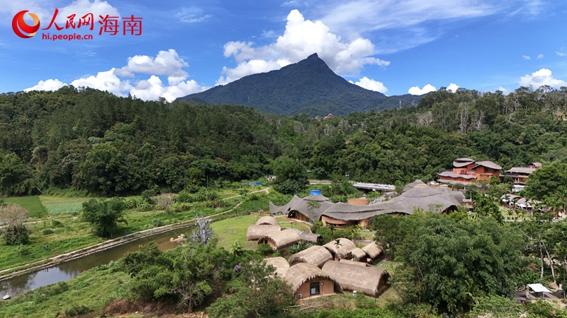 Once impoverished village in S China's Hainan thrives through tea and tourism