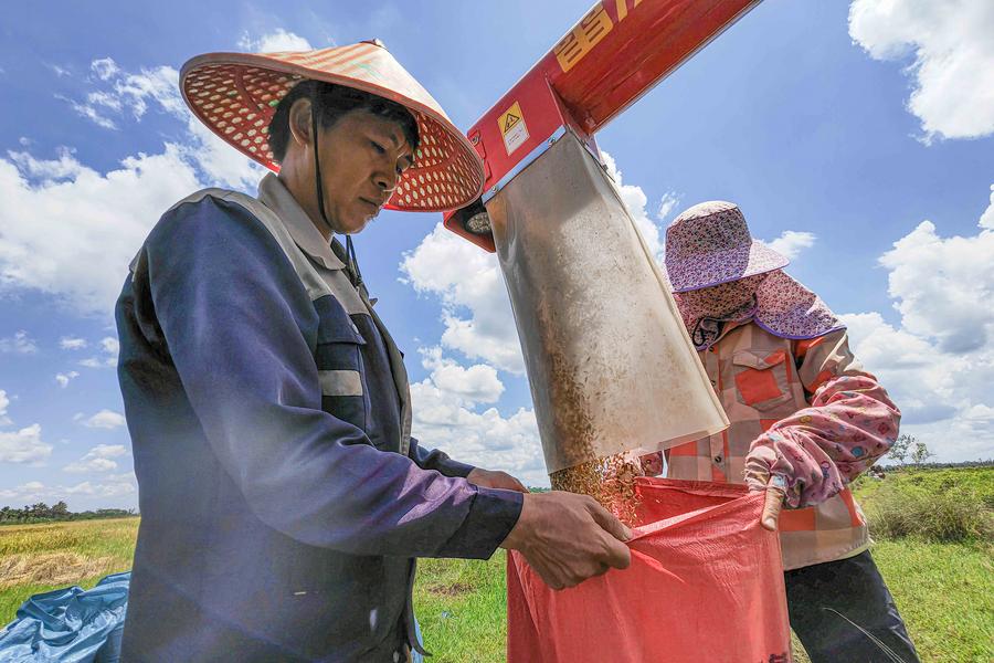 HainanOutlook | Rice harvest fuels agricultural brand, rural growth in S China's Hainan